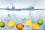 Hair The NeXt Privilege